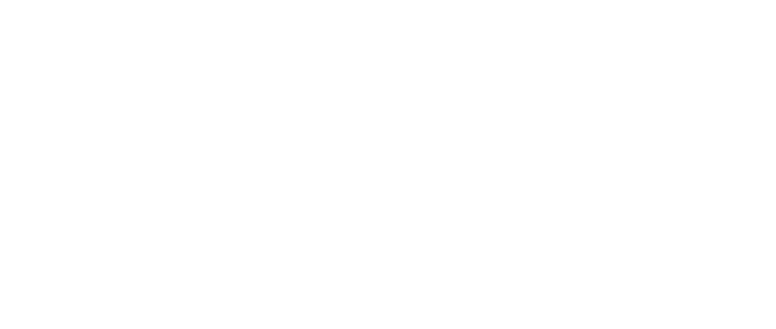 Echoes We Hide